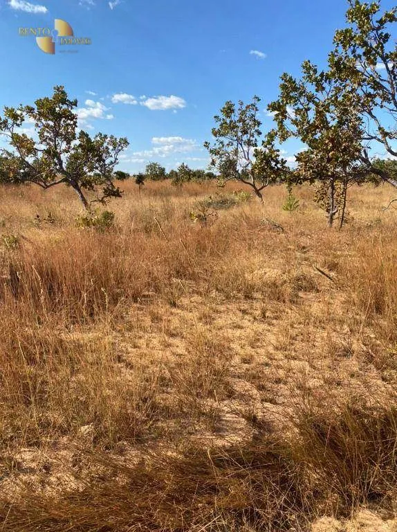 Farm for sale of 4,942 acres in Paranatinga, MT, Brazil