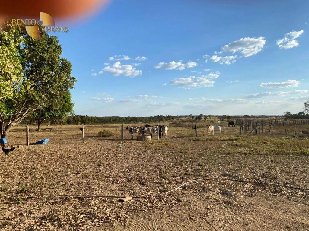 Farm for sale of 4,942 acres in Paranatinga, MT, Brazil