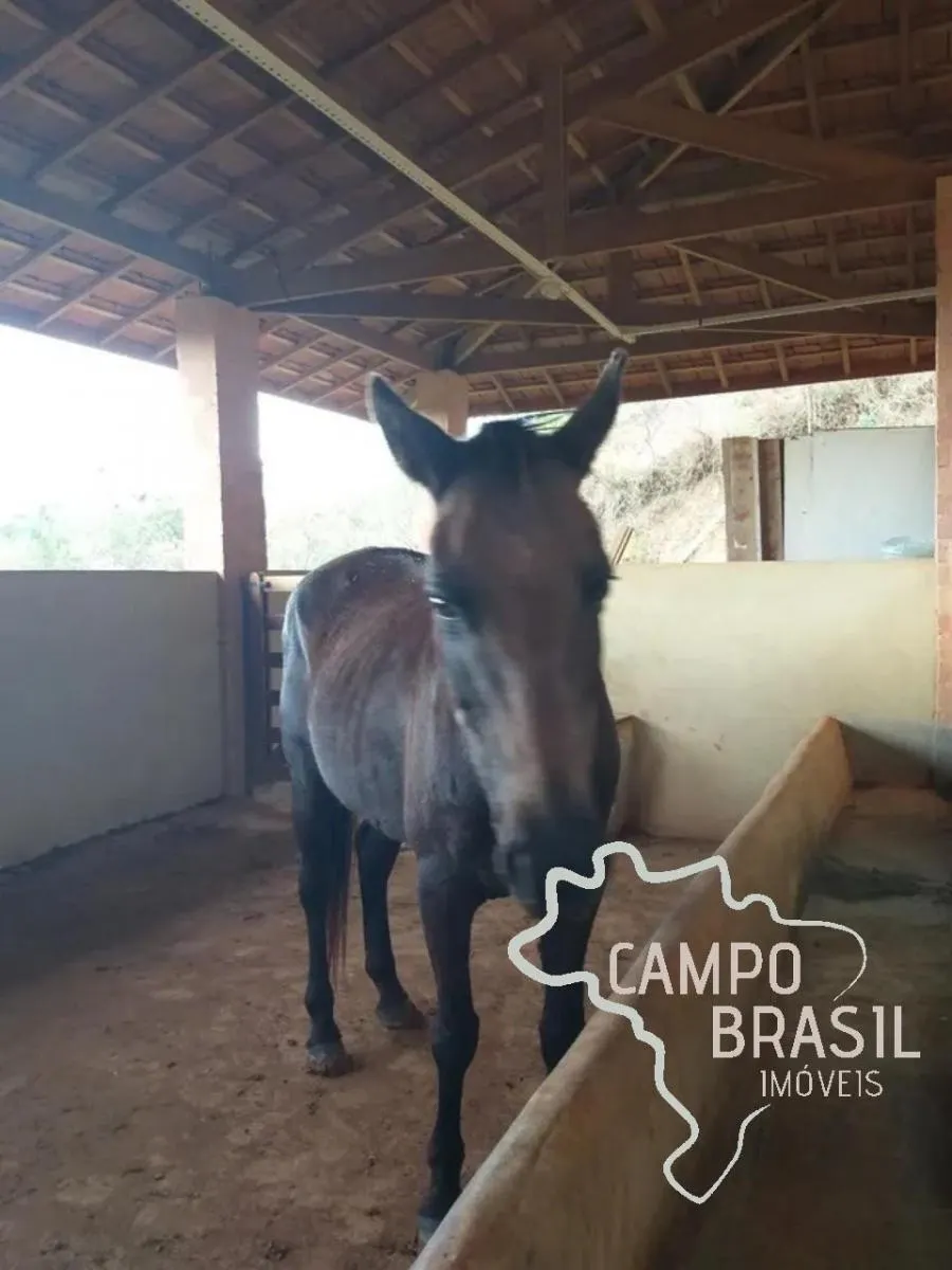 Small farm for sale of 22 acres in Santo Antônio do Pinhal, SP, Brazil