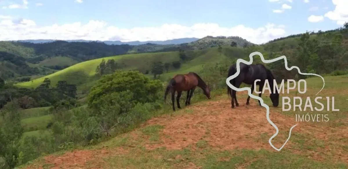 Small farm for sale of 22 acres in Santo Antônio do Pinhal, SP, Brazil