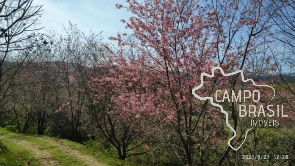 Small farm for sale of 22 acres in Santo Antônio do Pinhal, SP, Brazil