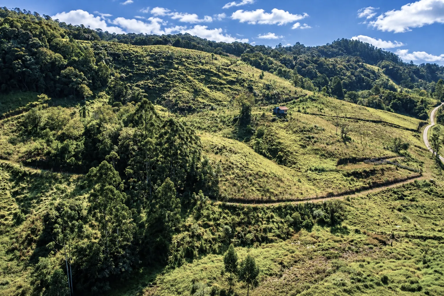 Farm for sale of 210 acres in Lontras, SC, Brazil