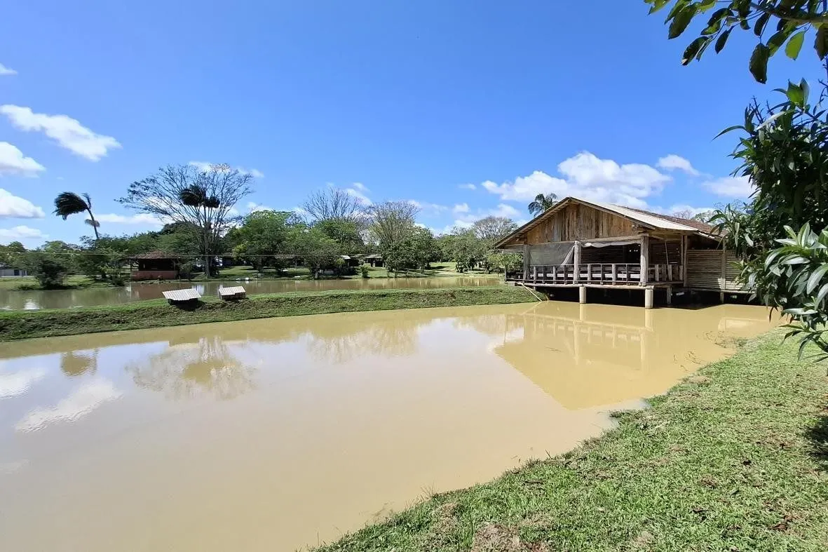 Farm for sale of 210 acres in Lontras, SC, Brazil