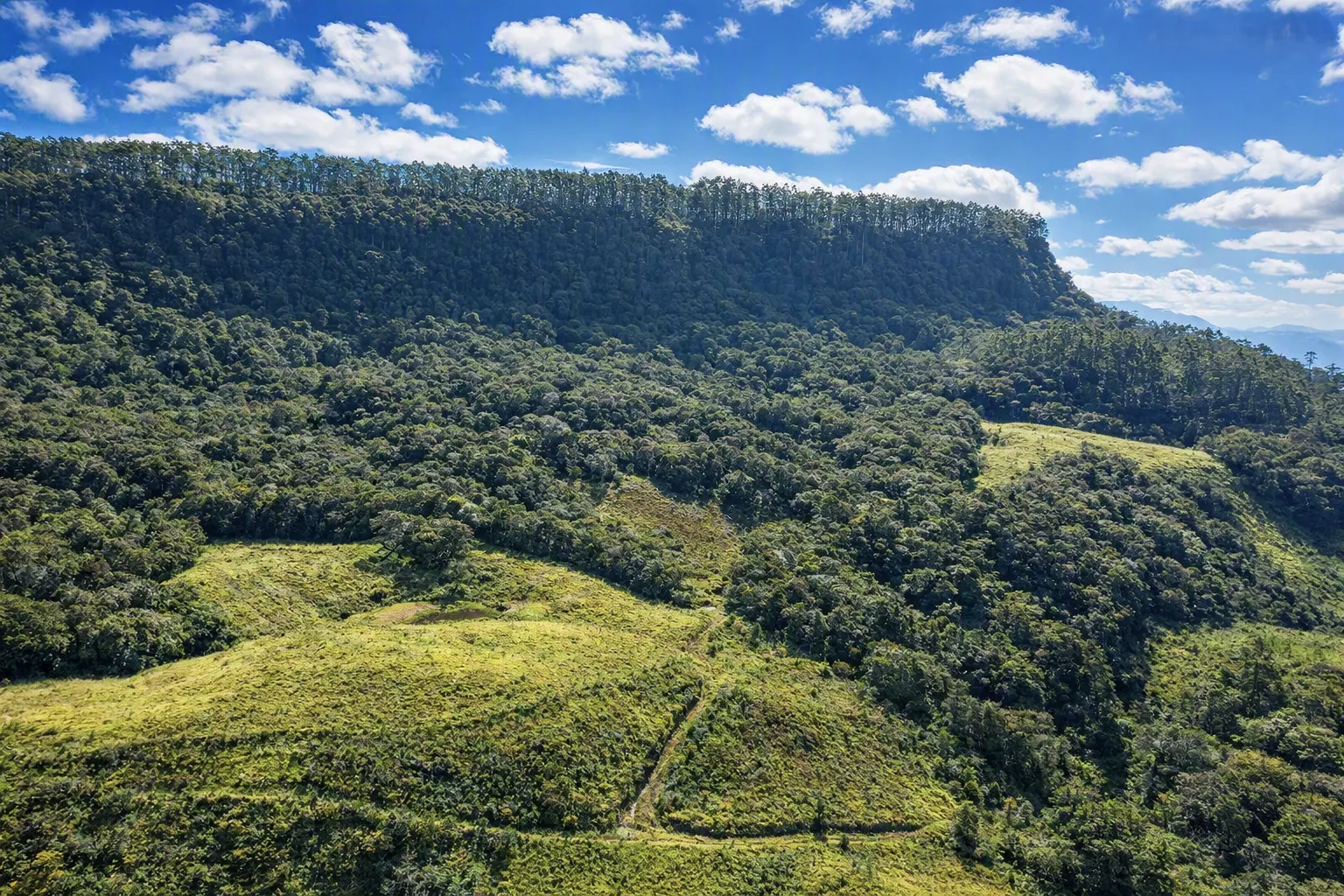 Farm for sale of 210 acres in Lontras, SC, Brazil