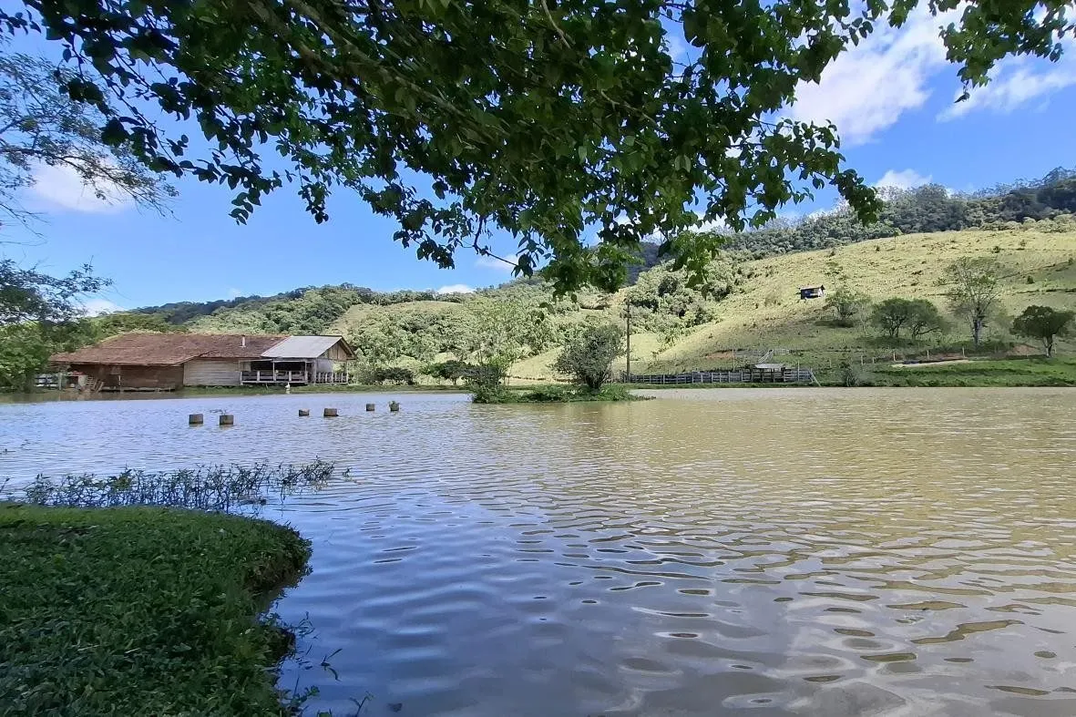 Farm for sale of 210 acres in Lontras, SC, Brazil
