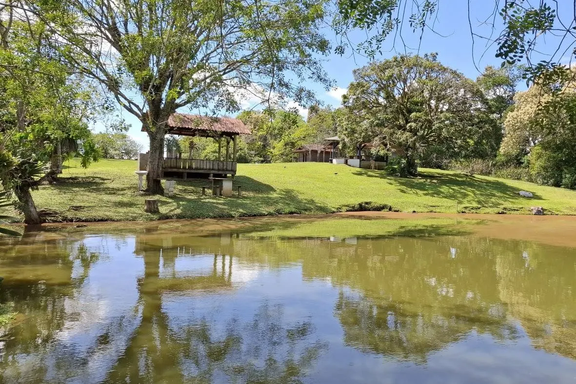 Farm for sale of 210 acres in Lontras, SC, Brazil
