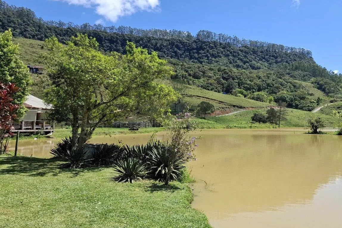 Farm for sale of 210 acres in Lontras, SC, Brazil