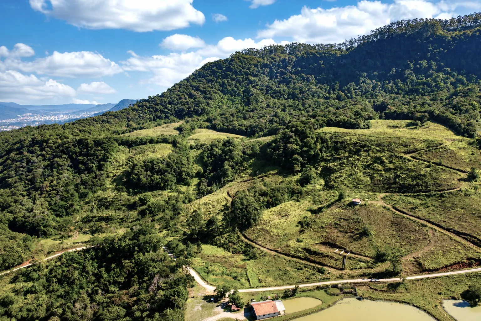 Farm for sale of 210 acres in Lontras, SC, Brazil