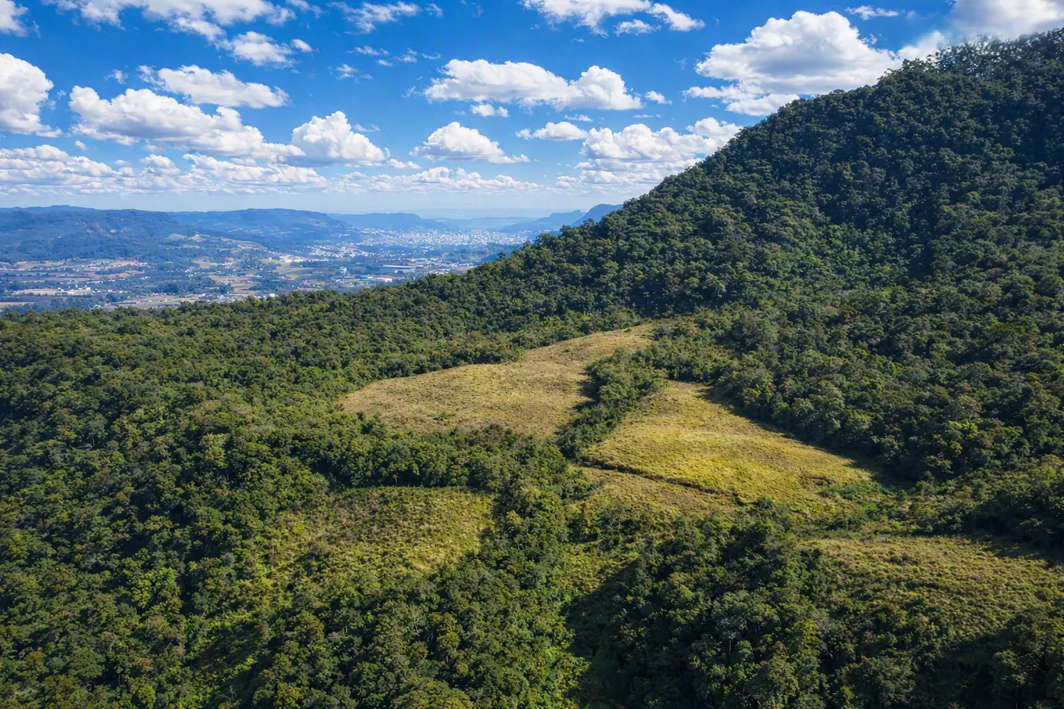 Farm for sale of 210 acres in Lontras, SC, Brazil