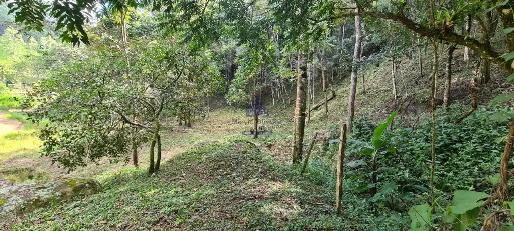 Small farm for sale of 10 acres in Taubaté, SP, Brazil