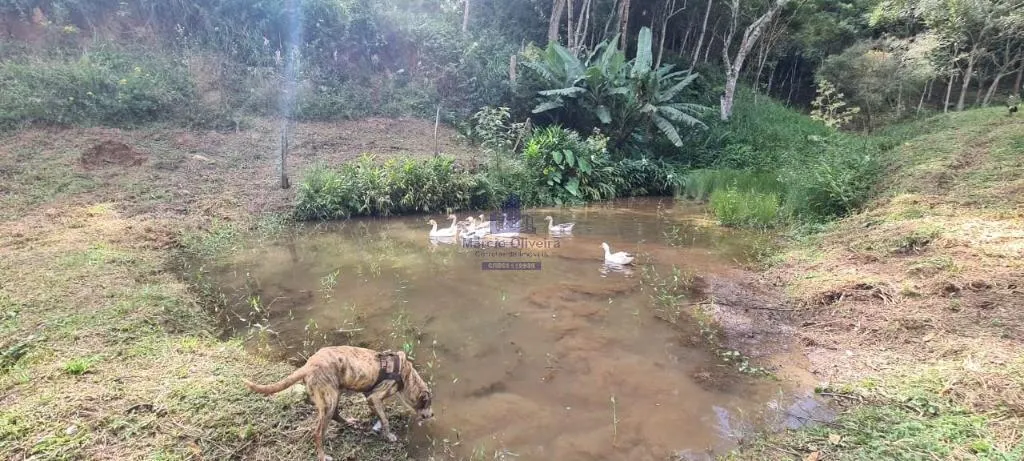 Small farm for sale of 10 acres in Taubaté, SP, Brazil