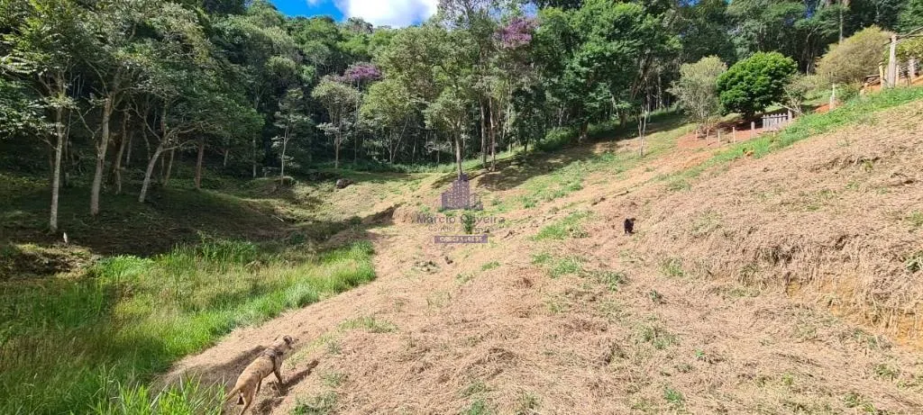 Small farm for sale of 10 acres in Taubaté, SP, Brazil