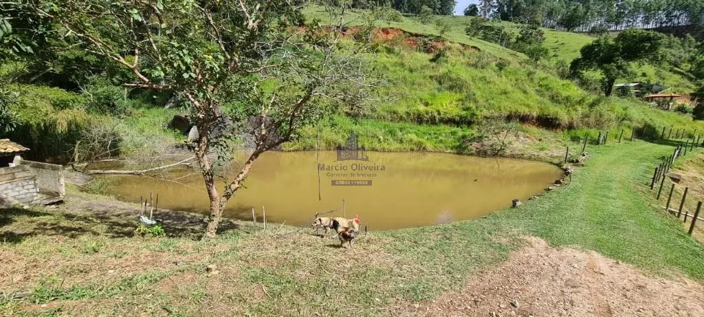 Small farm for sale of 10 acres in Taubaté, SP, Brazil