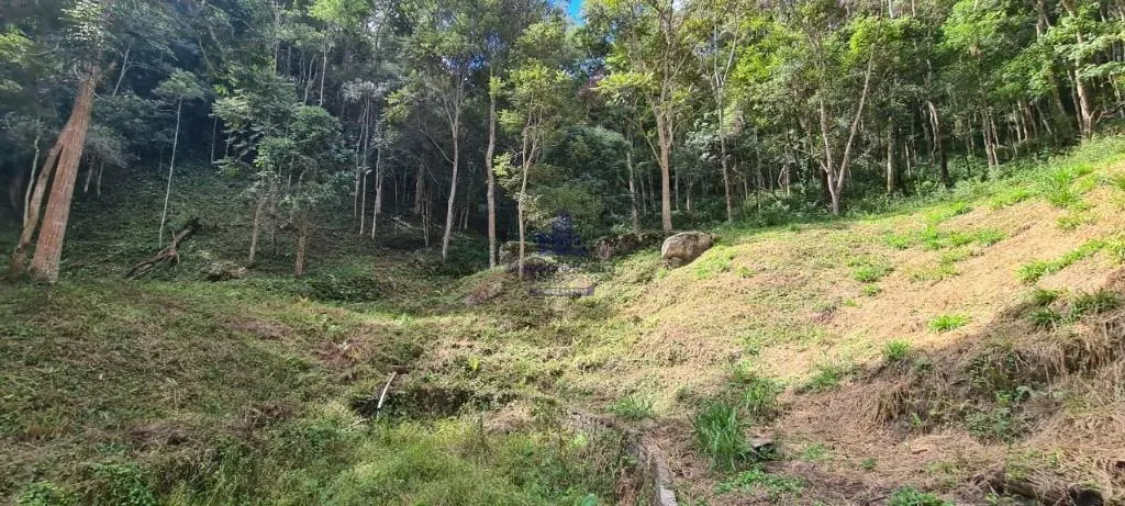 Small farm for sale of 10 acres in Taubaté, SP, Brazil