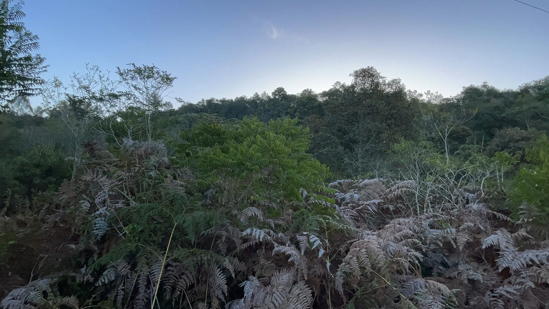 Chácara à venda de 3 ha em Santo Antônio da Patrulha, RS, Brasil