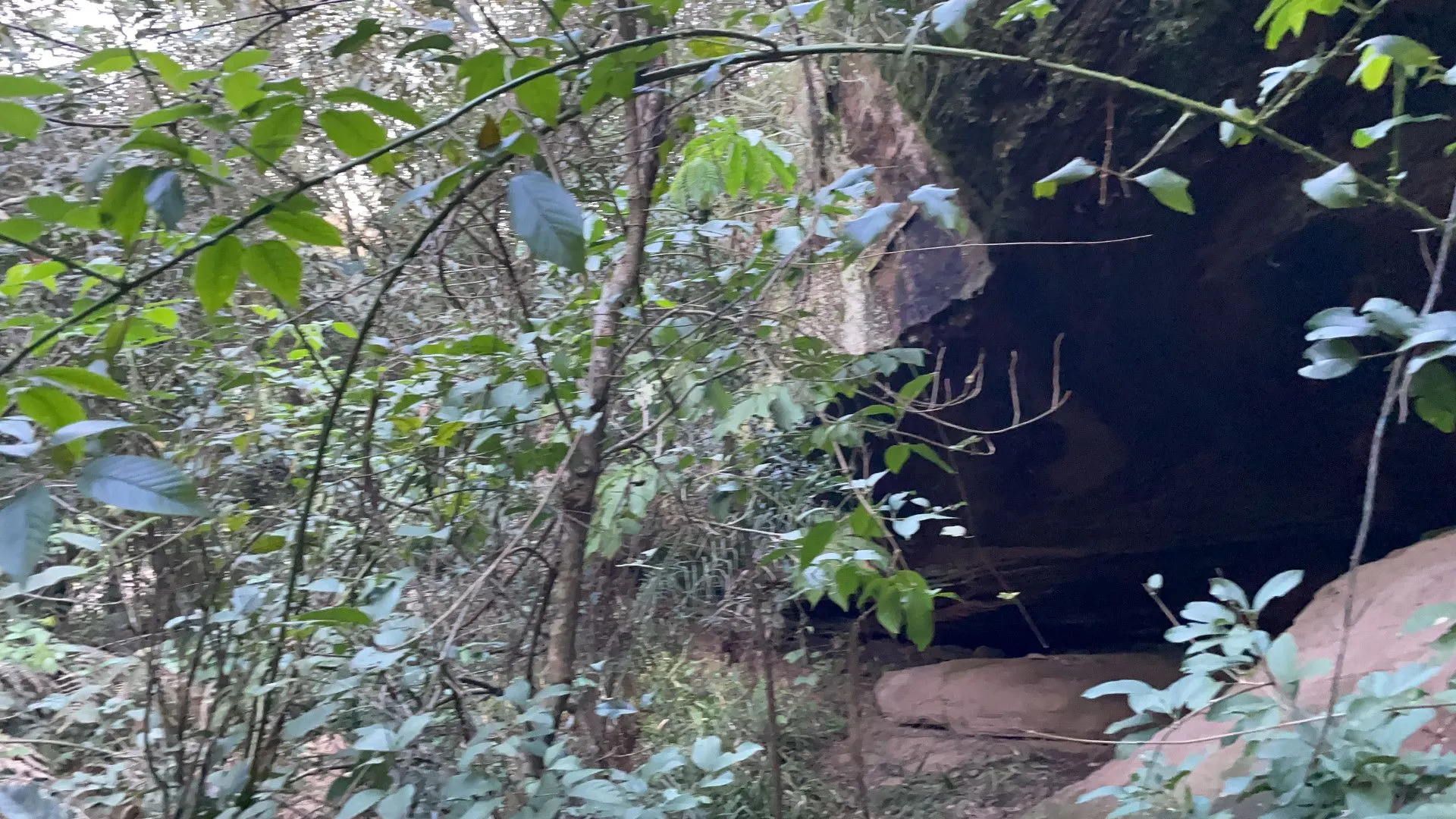 Chácara à venda de 3 ha em Santo Antônio da Patrulha, RS, Brasil