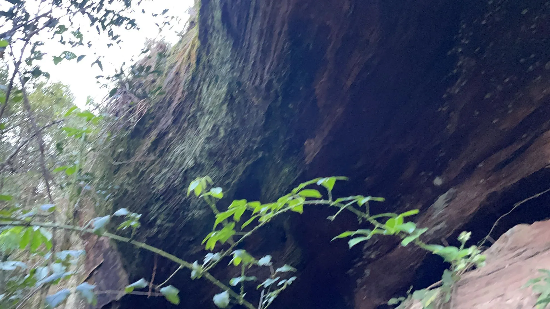 Chácara à venda de 3 ha em Santo Antônio da Patrulha, RS, Brasil