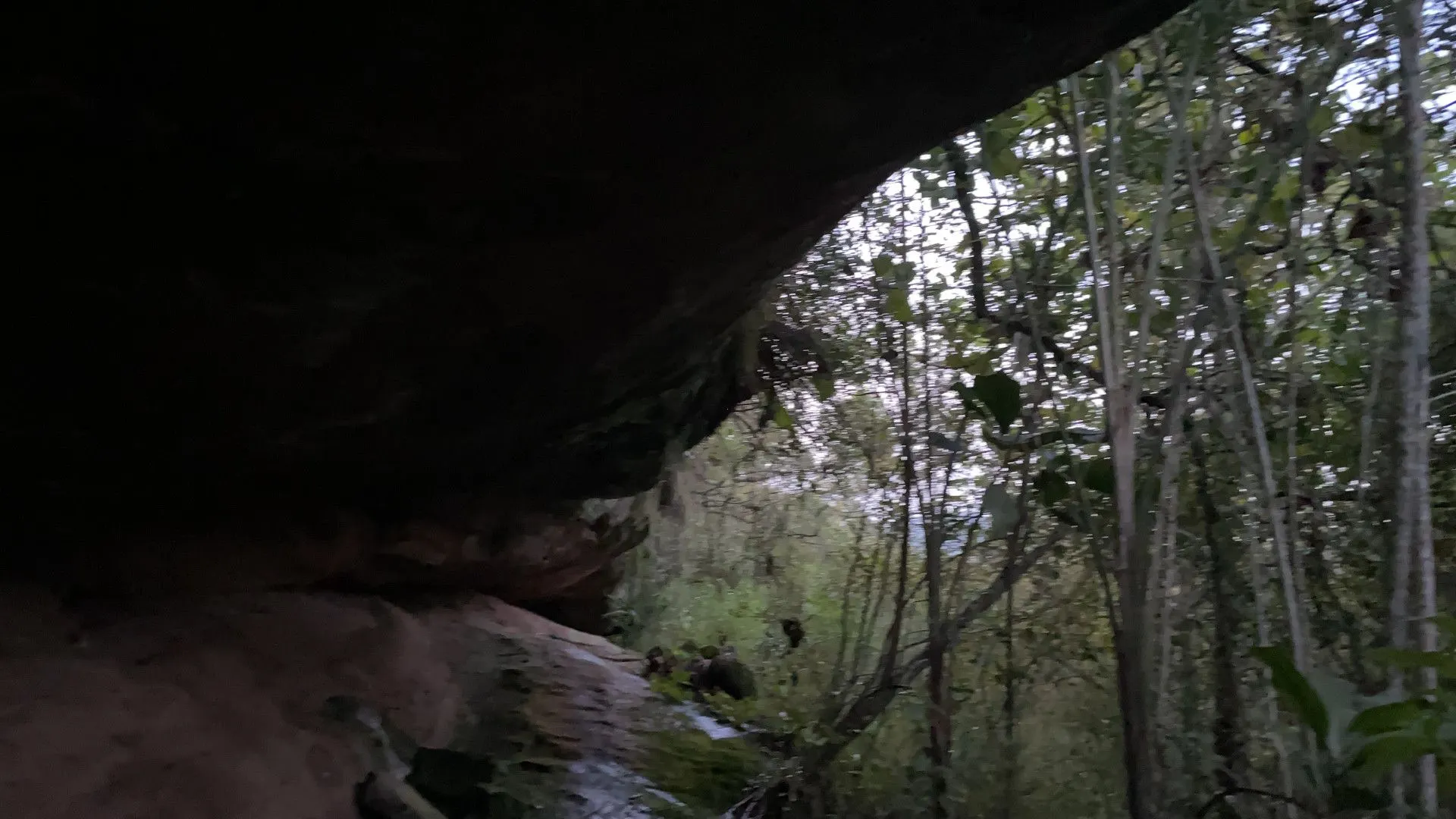 Chácara à venda de 3 ha em Santo Antônio da Patrulha, RS, Brasil