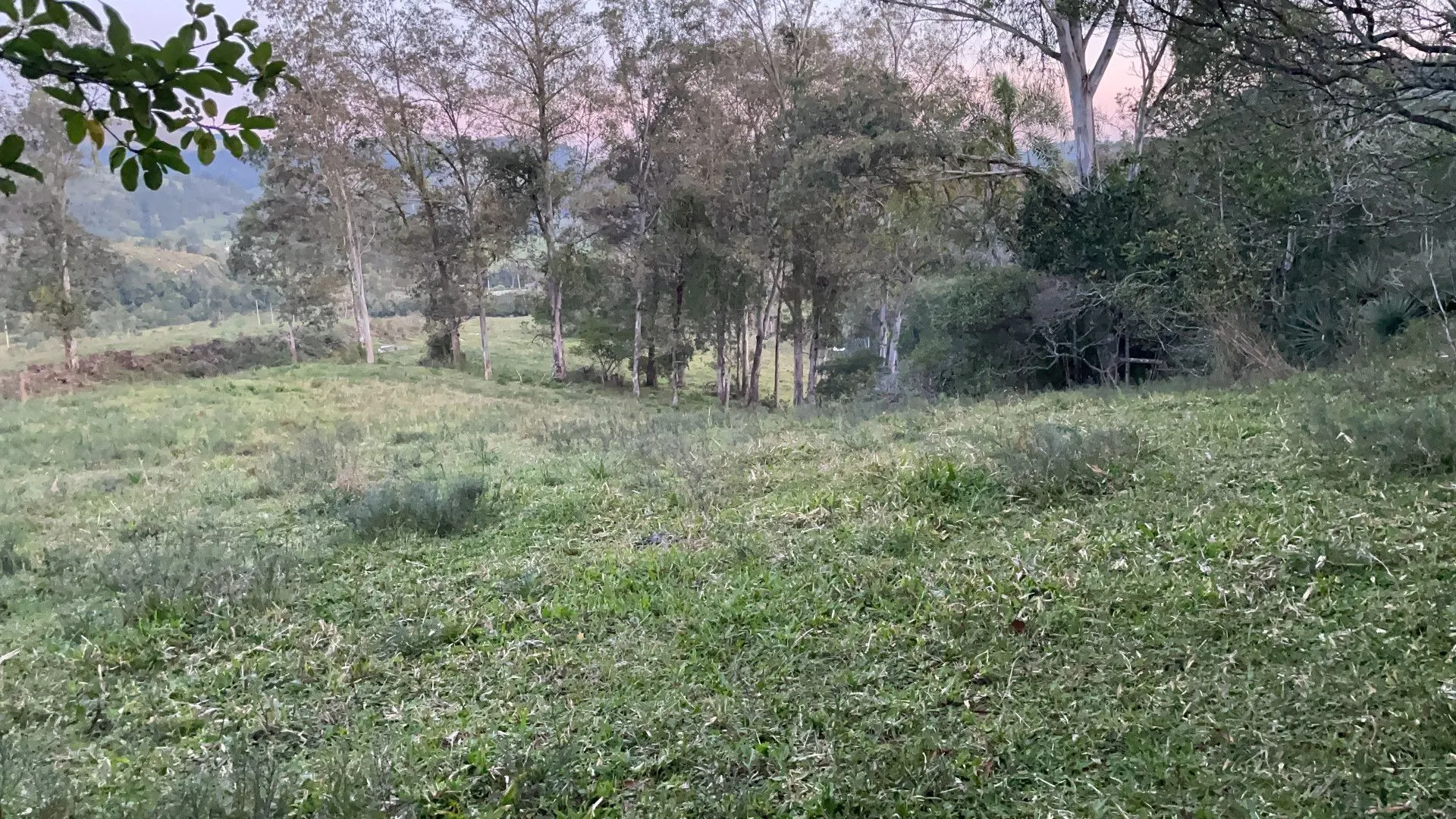 Chácara à venda de 3 ha em Santo Antônio da Patrulha, RS, Brasil
