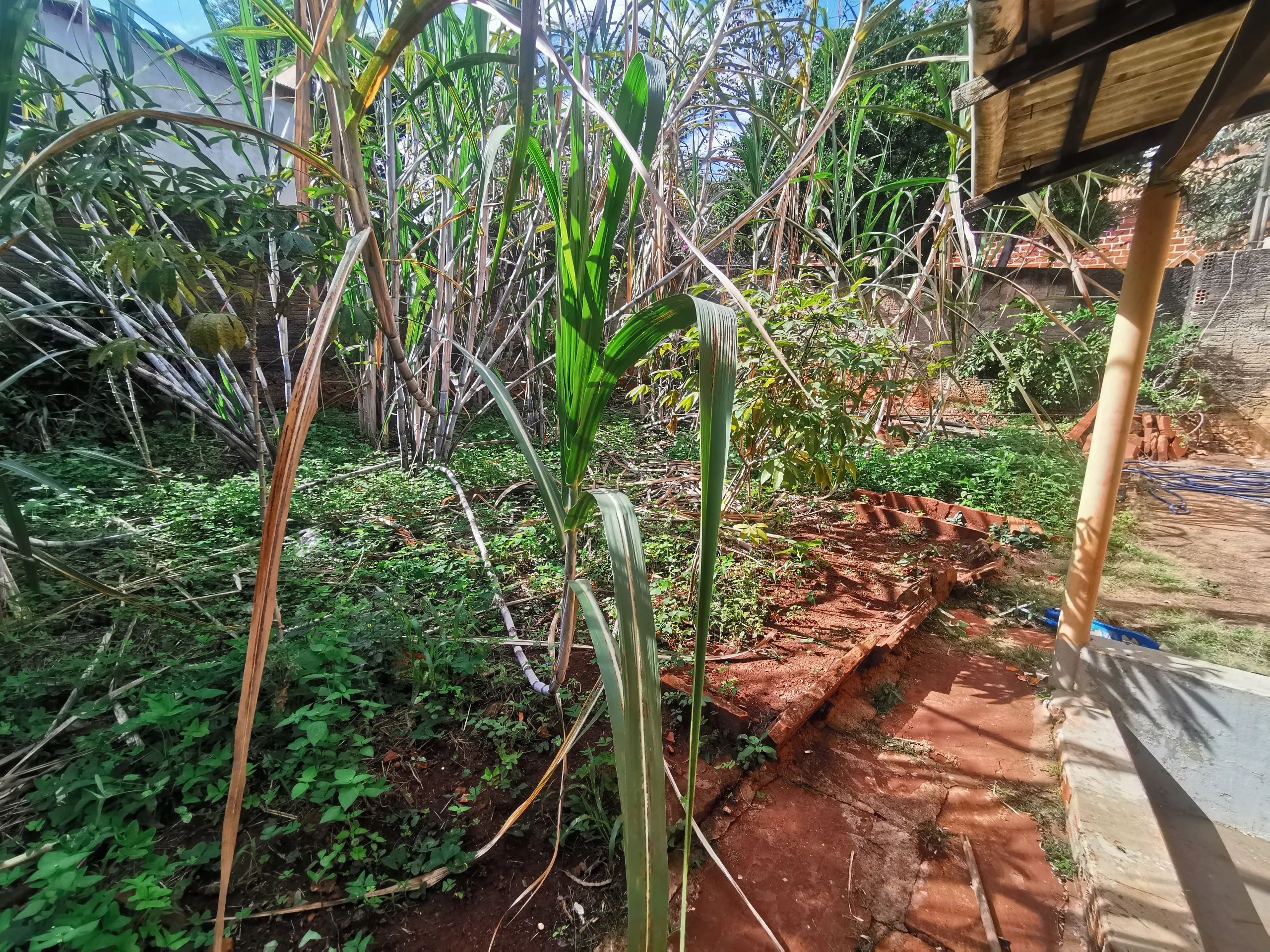Chácara à venda de 3.200 m² em Timburi, SP, Brasil