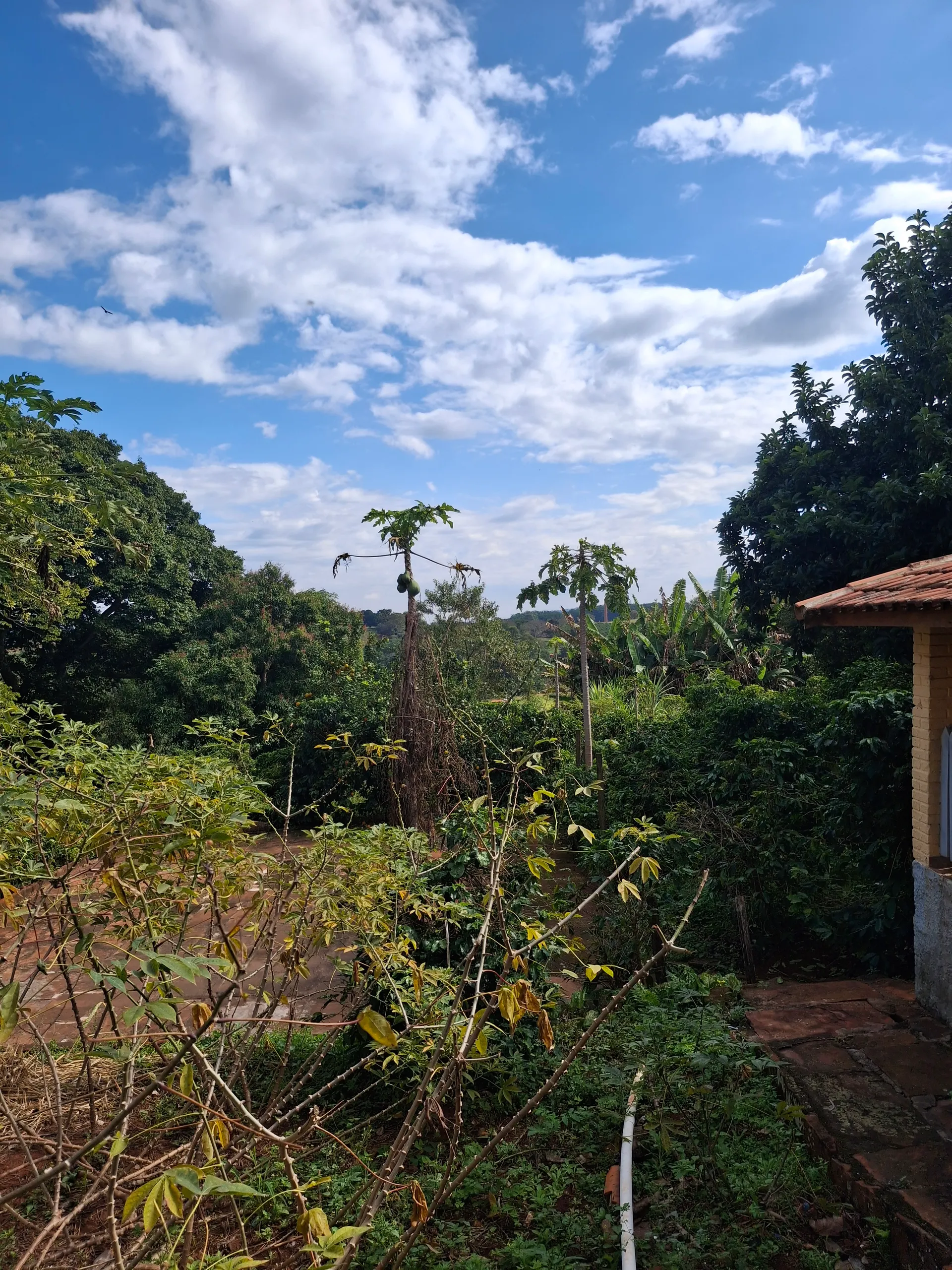 Chácara à venda de 3.200 m² em Timburi, SP, Brasil