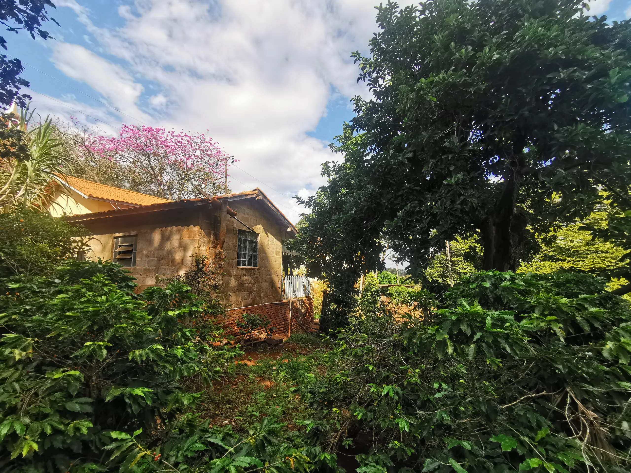 Chácara à venda de 3.200 m² em Timburi, SP, Brasil