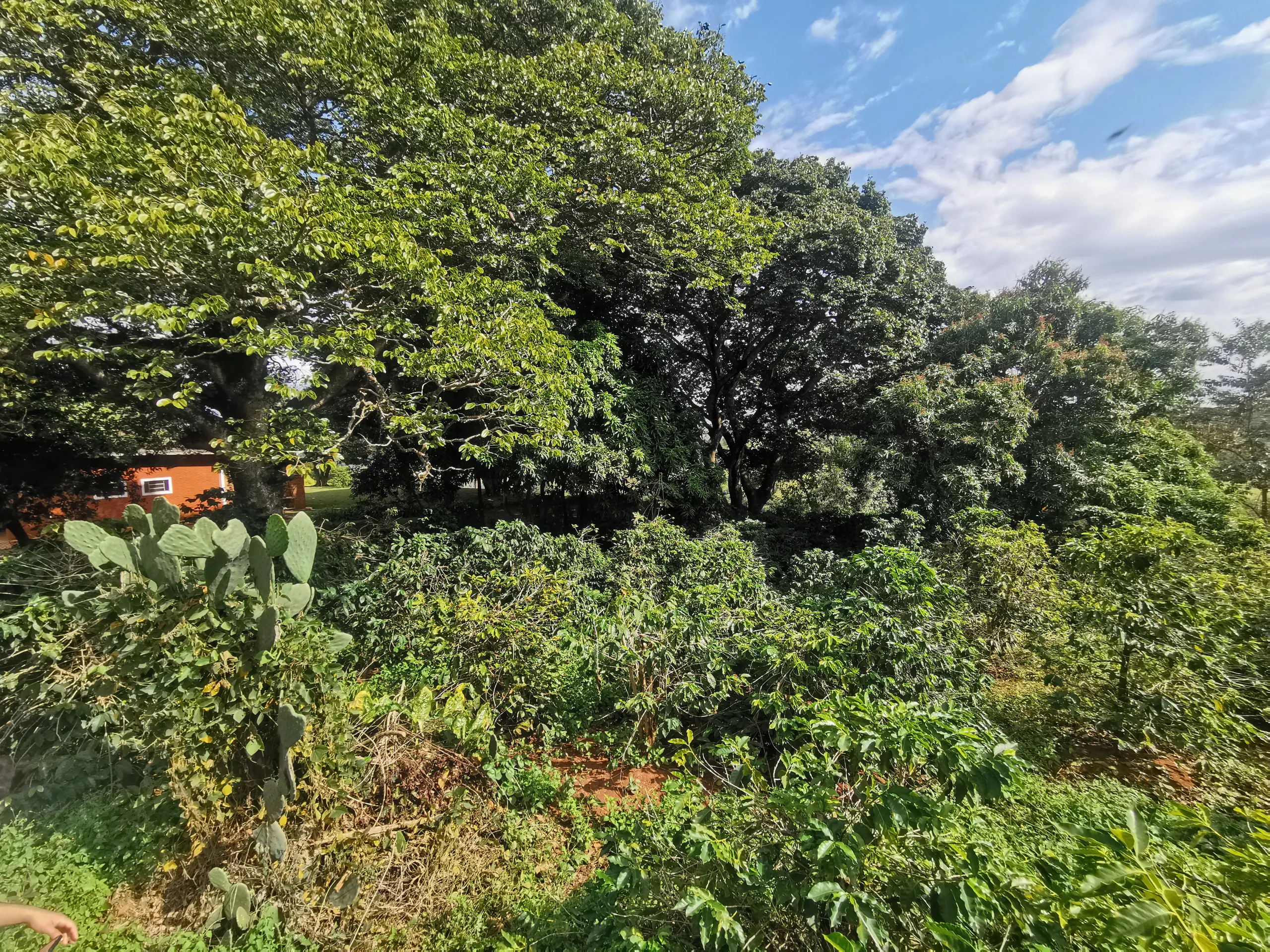 Chácara à venda de 3.200 m² em Timburi, SP, Brasil