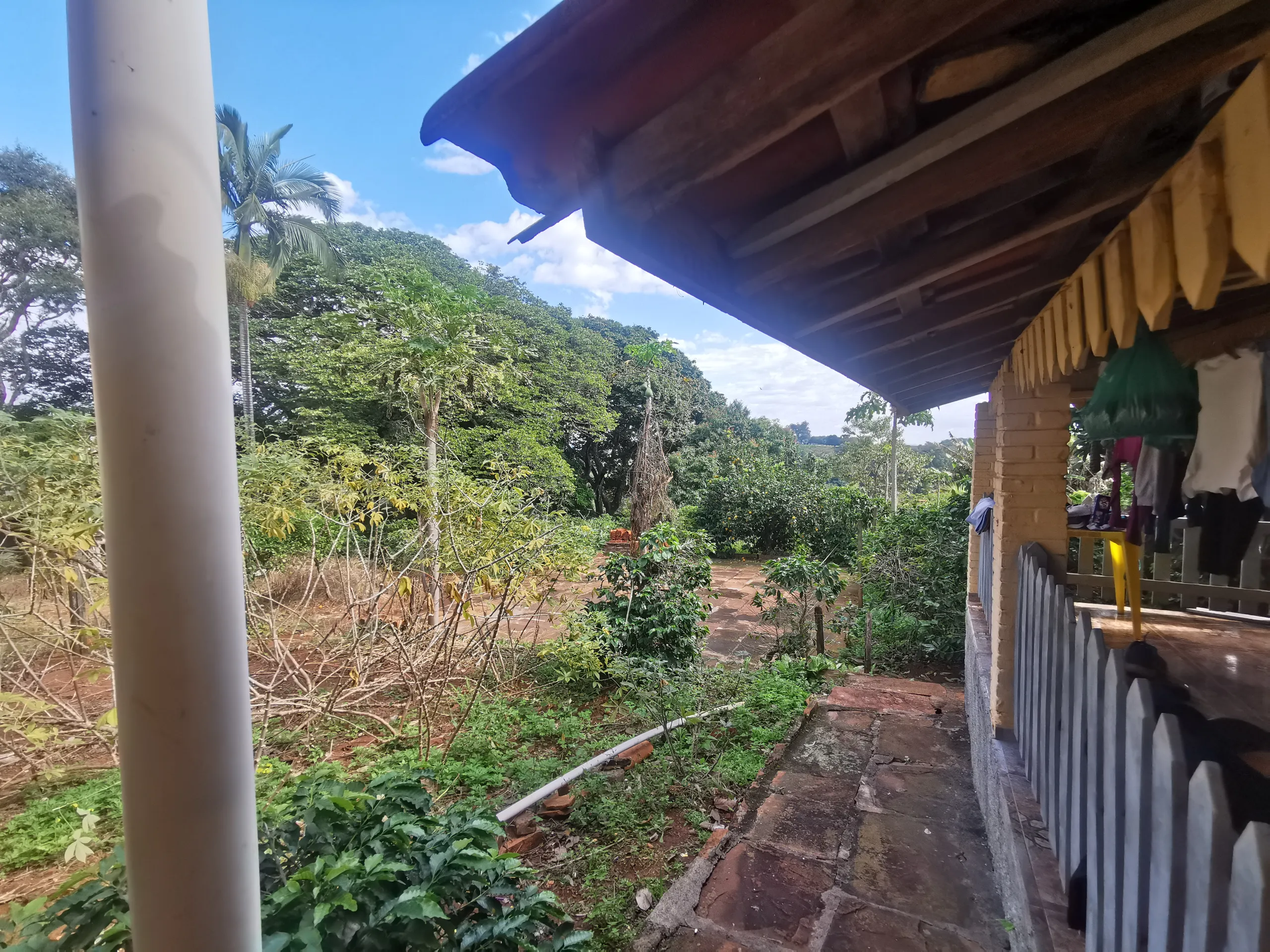 Chácara à venda de 3.200 m² em Timburi, SP, Brasil