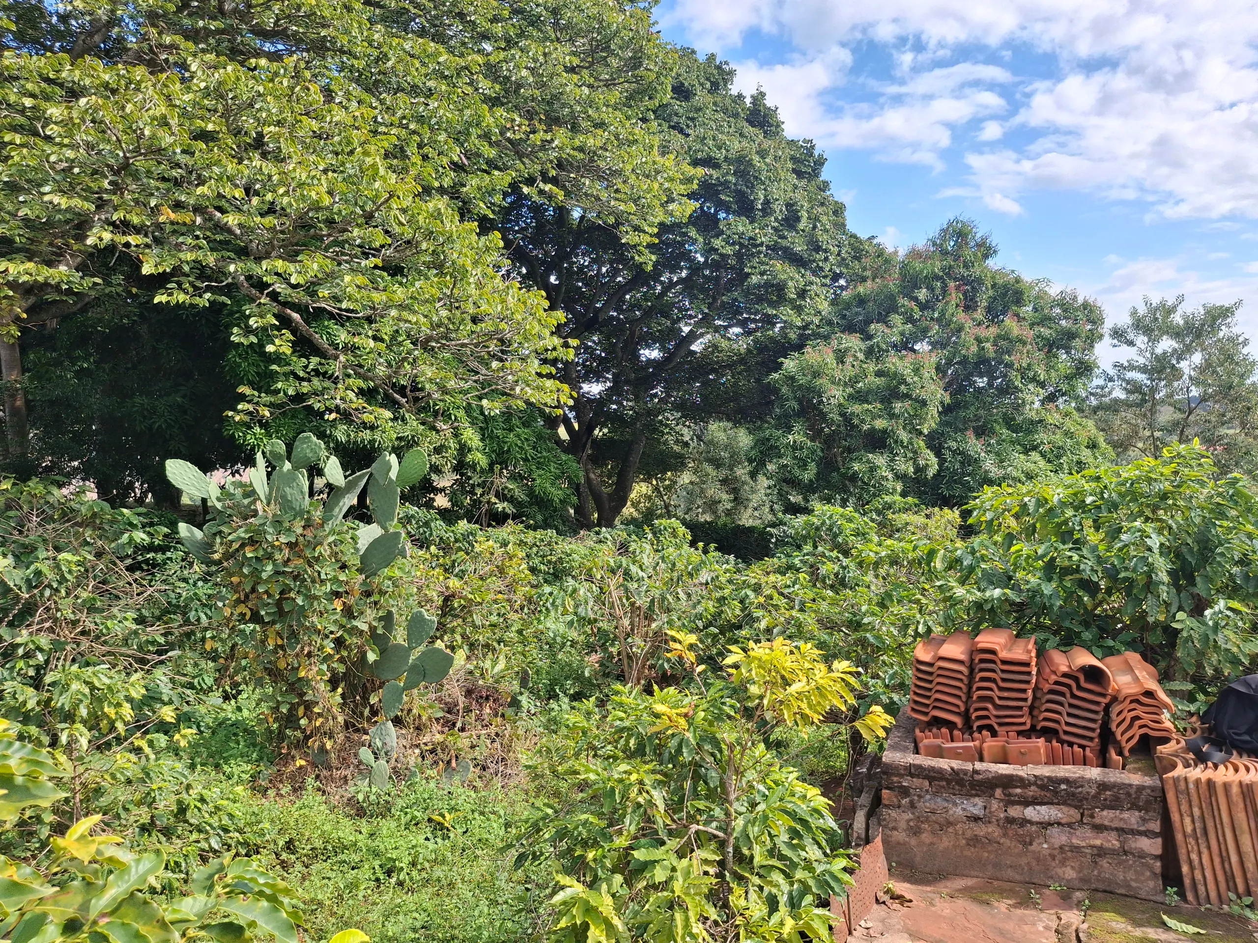 Chácara à venda de 3.200 m² em Timburi, SP, Brasil
