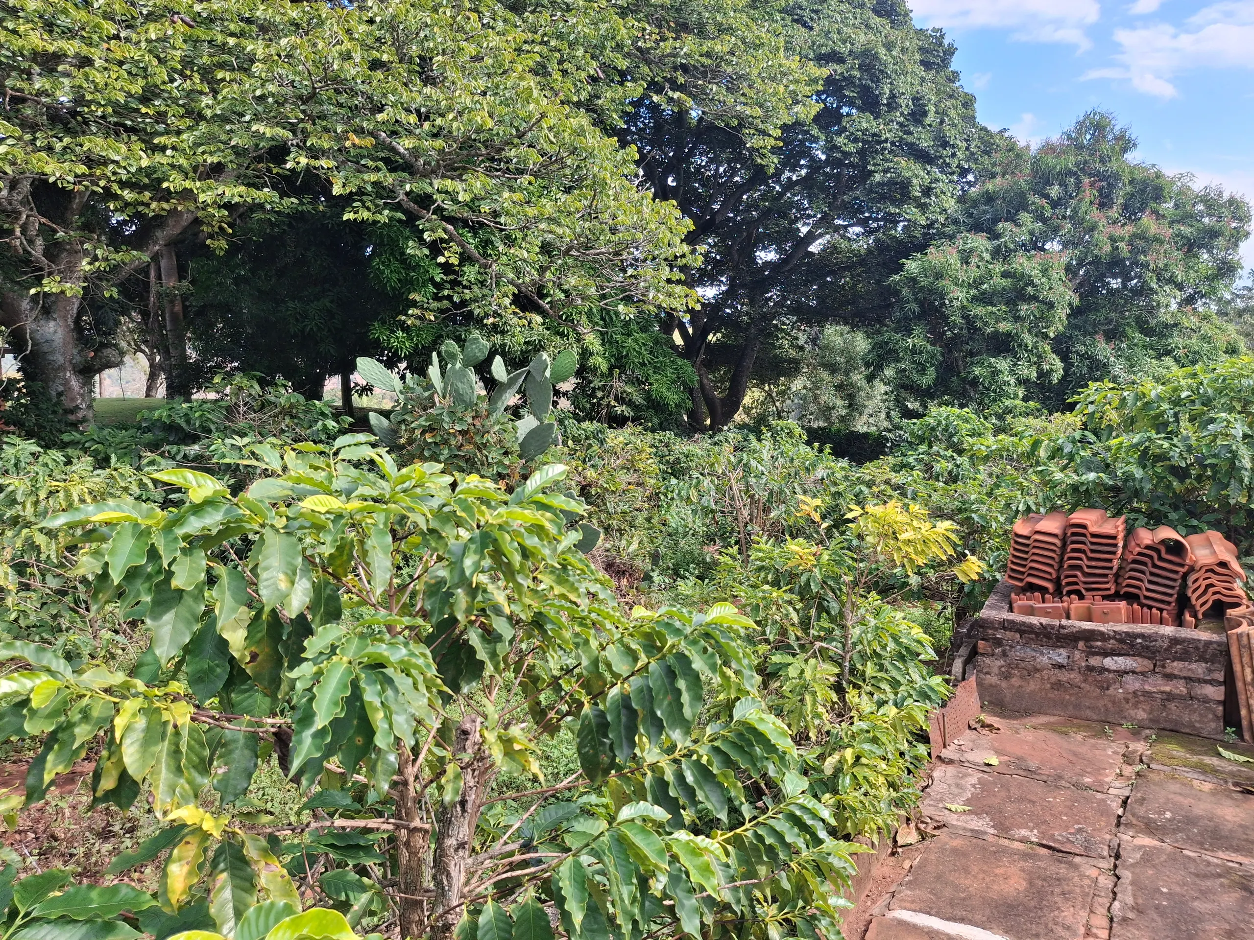 Chácara à venda de 3.200 m² em Timburi, SP, Brasil