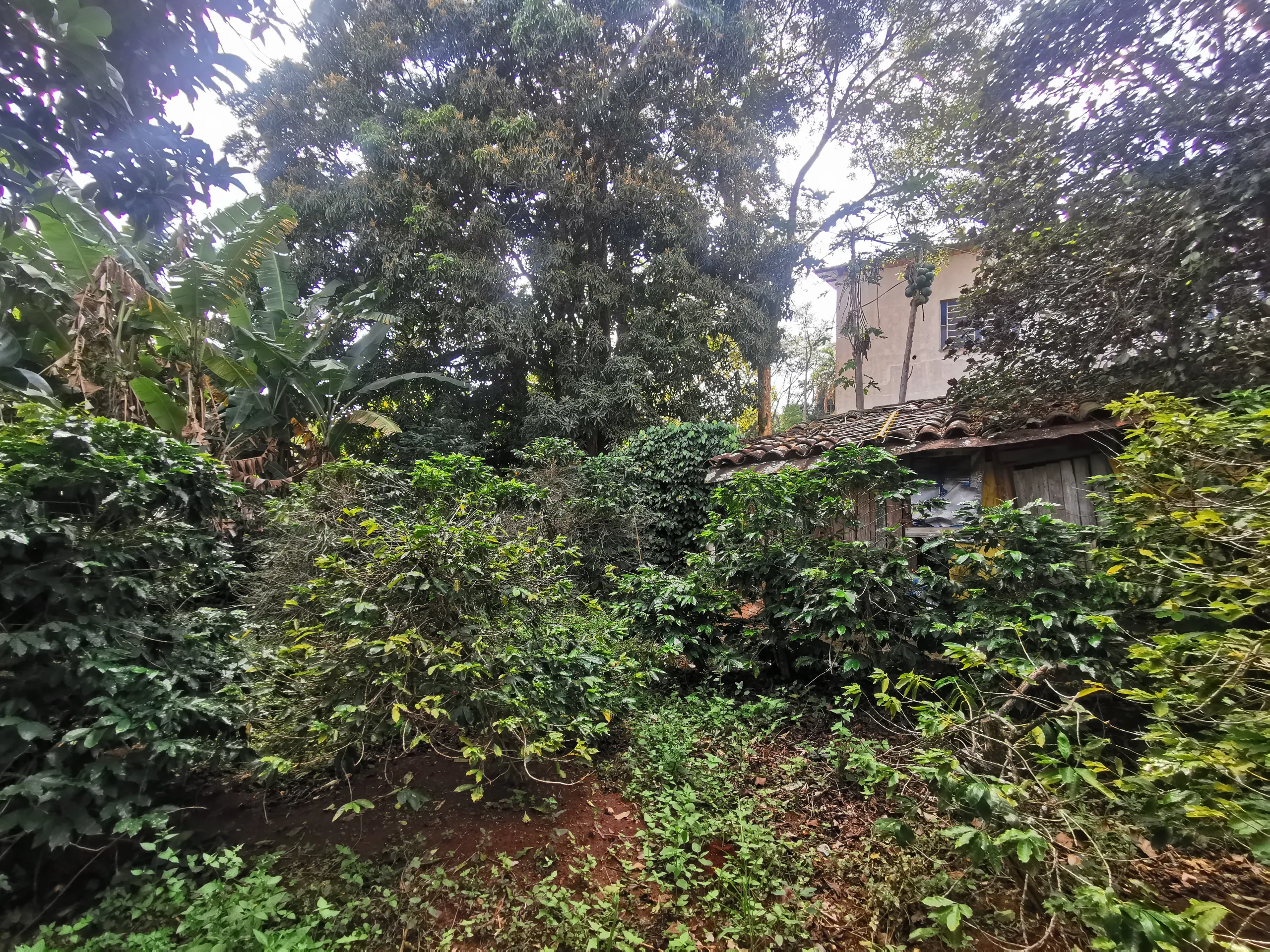 Chácara à venda de 3.200 m² em Timburi, SP, Brasil