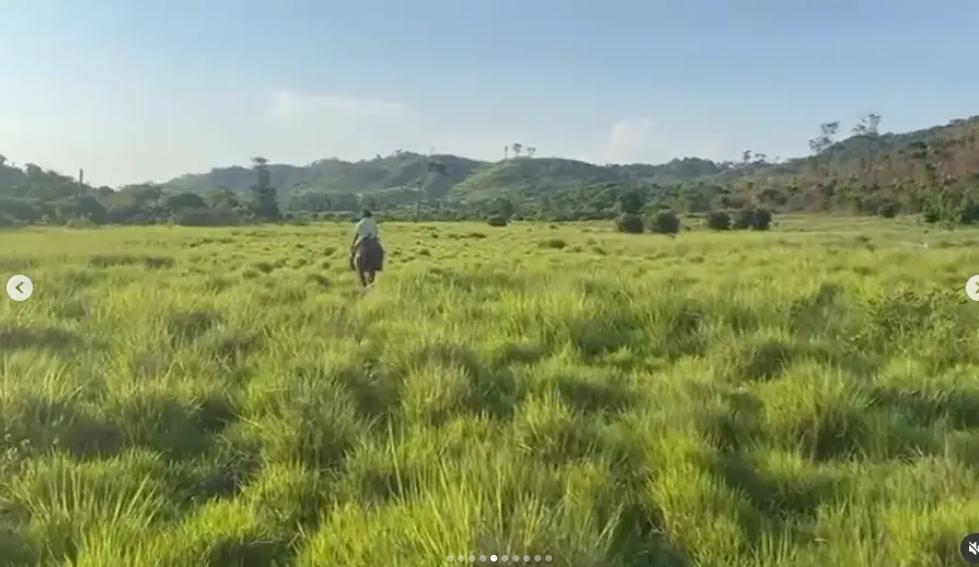 Fazenda à venda de 1.750 ha em Santana do Araguaia, PA, Brasil