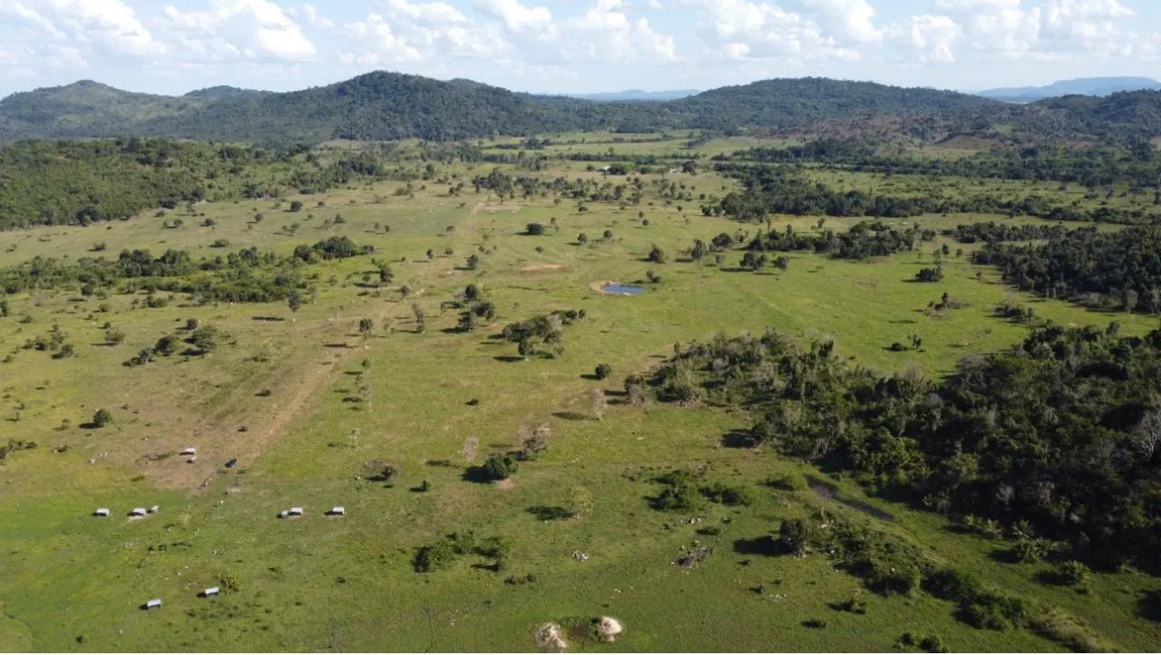 Fazenda à venda de 1.750 ha em Santana do Araguaia, PA, Brasil