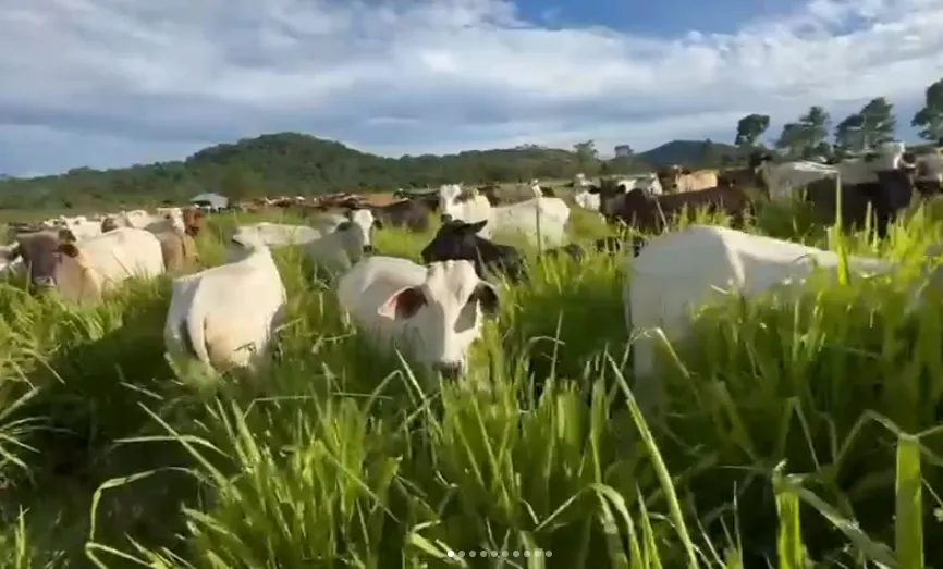 Fazenda à venda de 1.750 ha em Santana do Araguaia, PA, Brasil