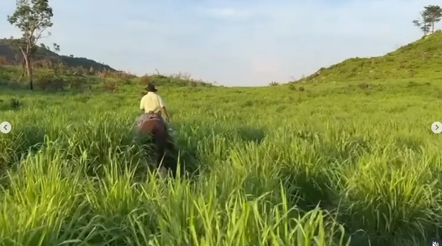 Fazenda à venda de 1.750 ha em Santana do Araguaia, PA, Brasil