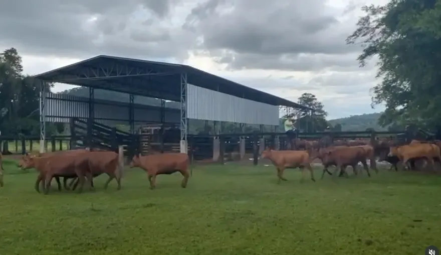 Fazenda à venda de 1.750 ha em Santana do Araguaia, PA, Brasil