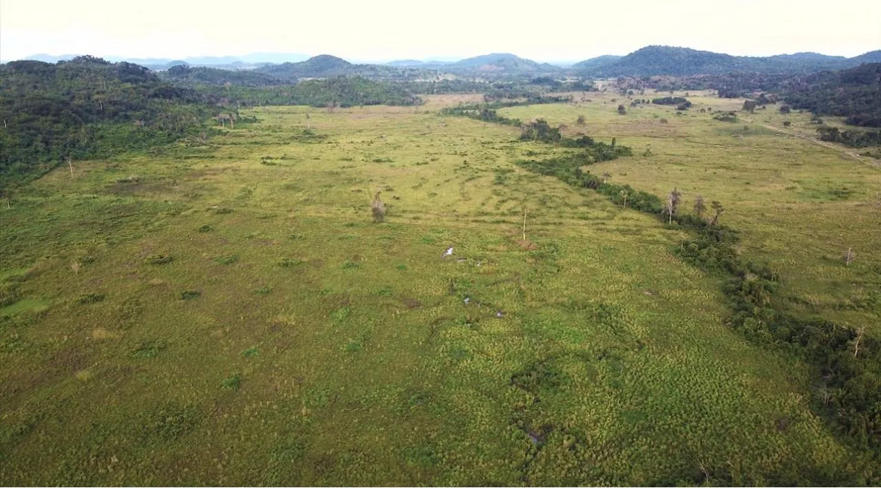 Fazenda à venda de 1.750 ha em Santana do Araguaia, PA, Brasil