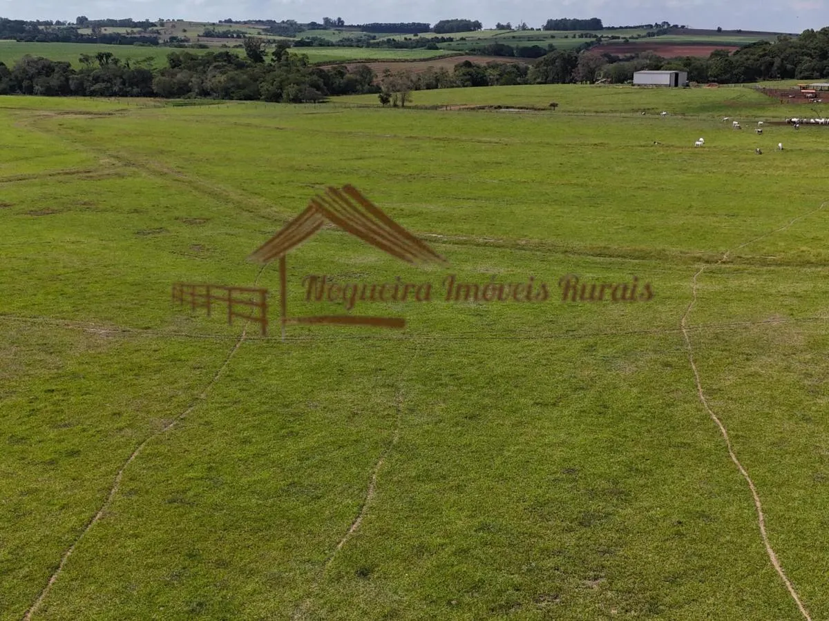 Fazenda à venda de 140 ha em Laranjal Paulista, SP, Brasil