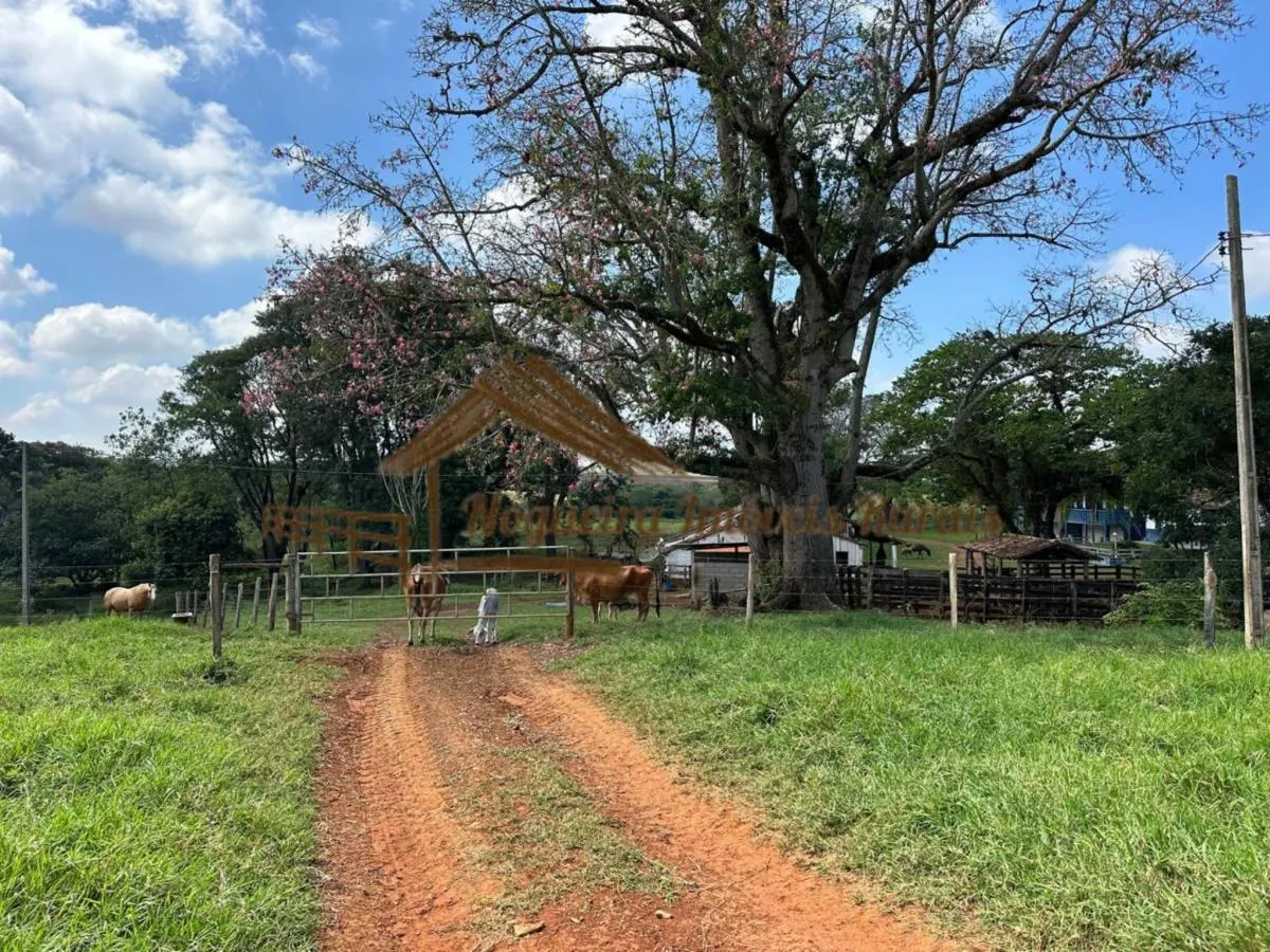 Fazenda à venda de 140 ha em Laranjal Paulista, SP, Brasil