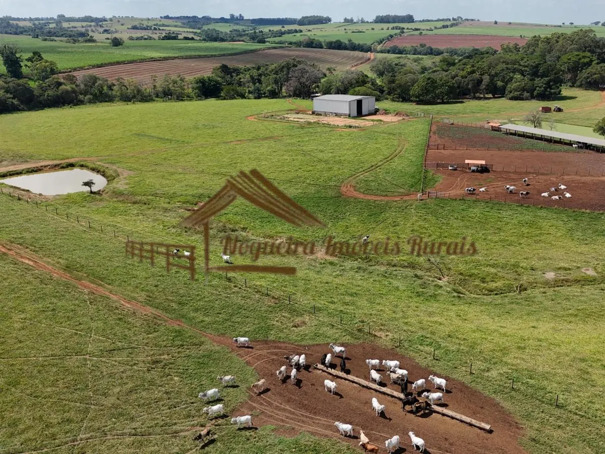 Fazenda à venda de 140 ha em Laranjal Paulista, SP, Brasil