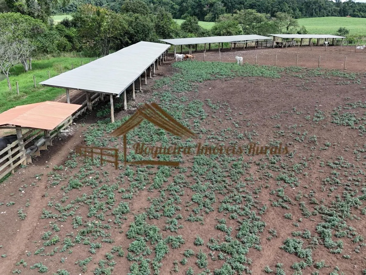 Fazenda à venda de 140 ha em Laranjal Paulista, SP, Brasil