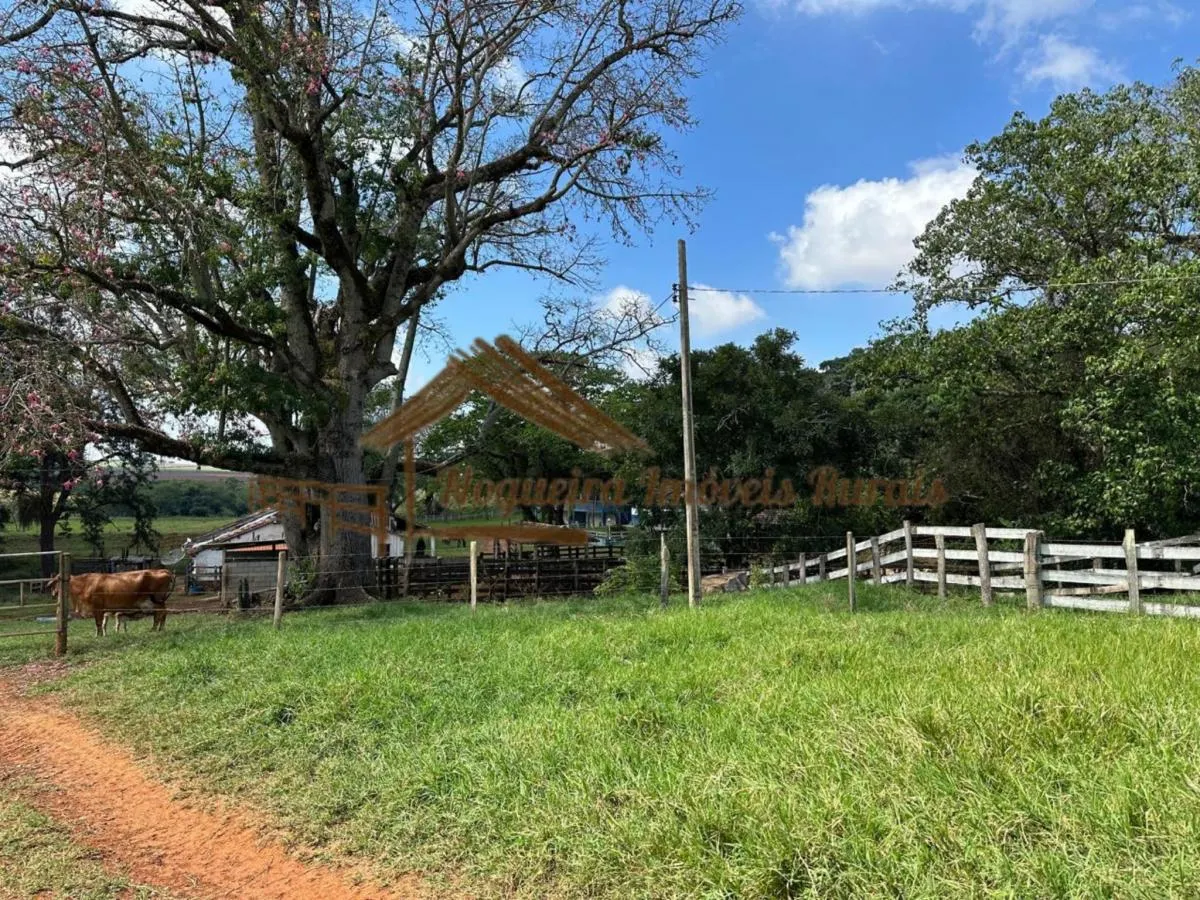 Fazenda à venda de 140 ha em Laranjal Paulista, SP, Brasil