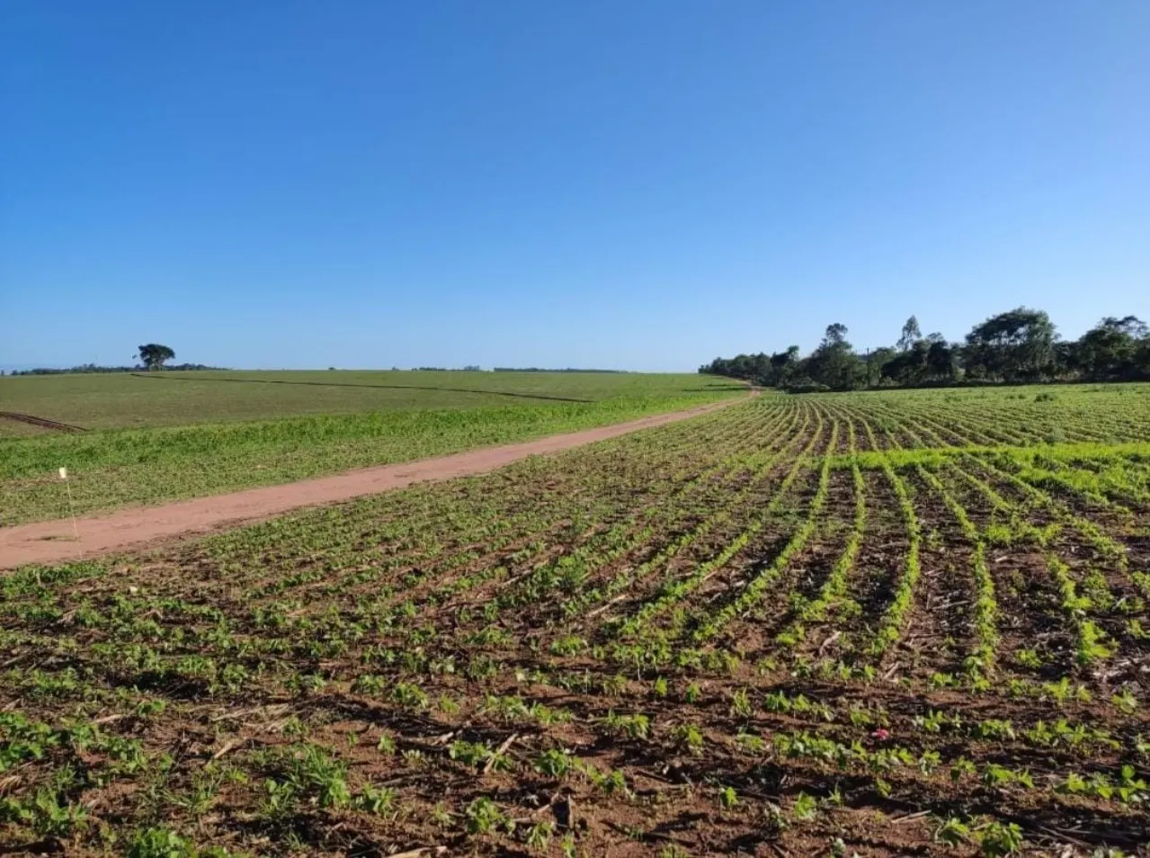 Fazenda à venda de 348 ha em Itapetininga, SP, Brasil