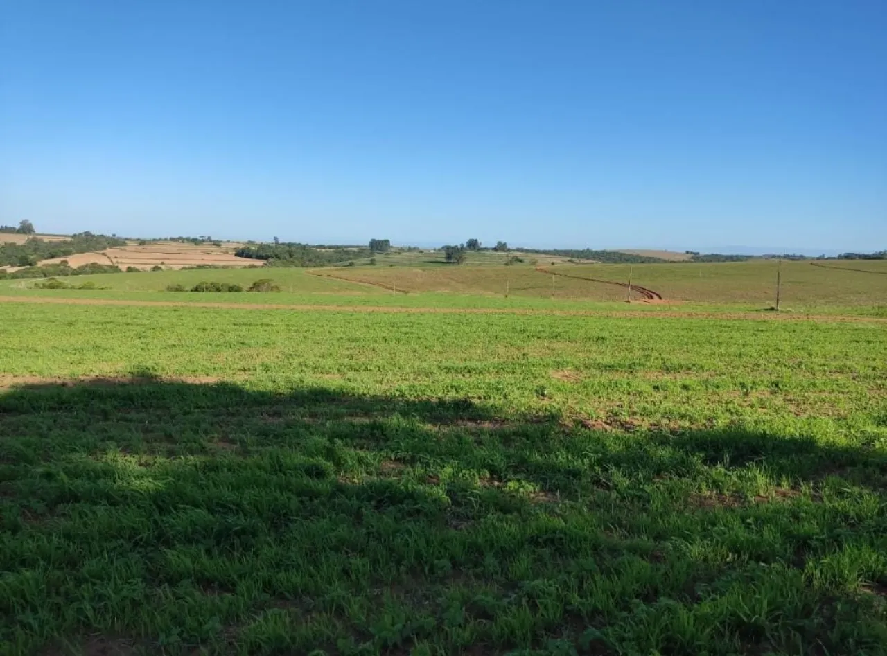 Fazenda à venda de 348 ha em Itapetininga, SP, Brasil