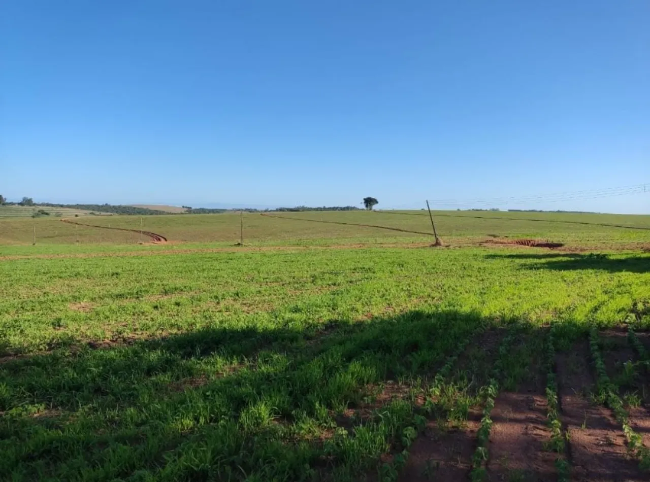 Fazenda à venda de 348 ha em Itapetininga, SP, Brasil