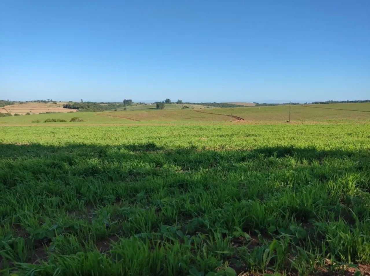 Fazenda à venda de 348 ha em Itapetininga, SP, Brasil
