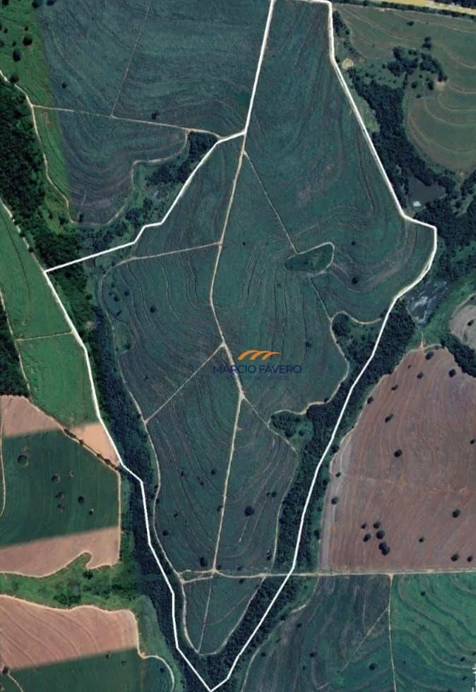 Fazenda à venda de 115 ha em Nhandeara, SP, Brasil