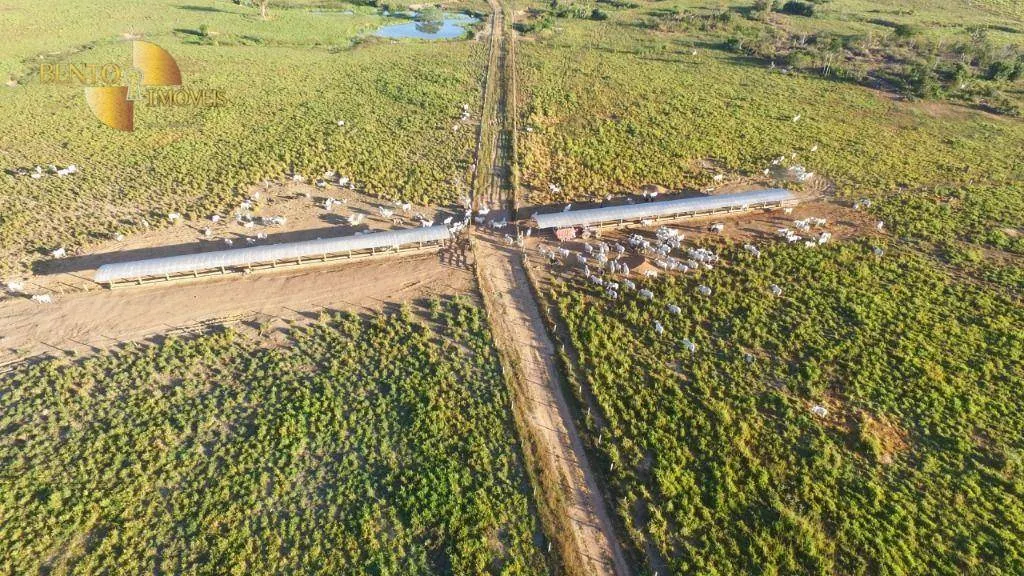 Farm for sale of 2,348 acres in Matupá, MT, Brazil