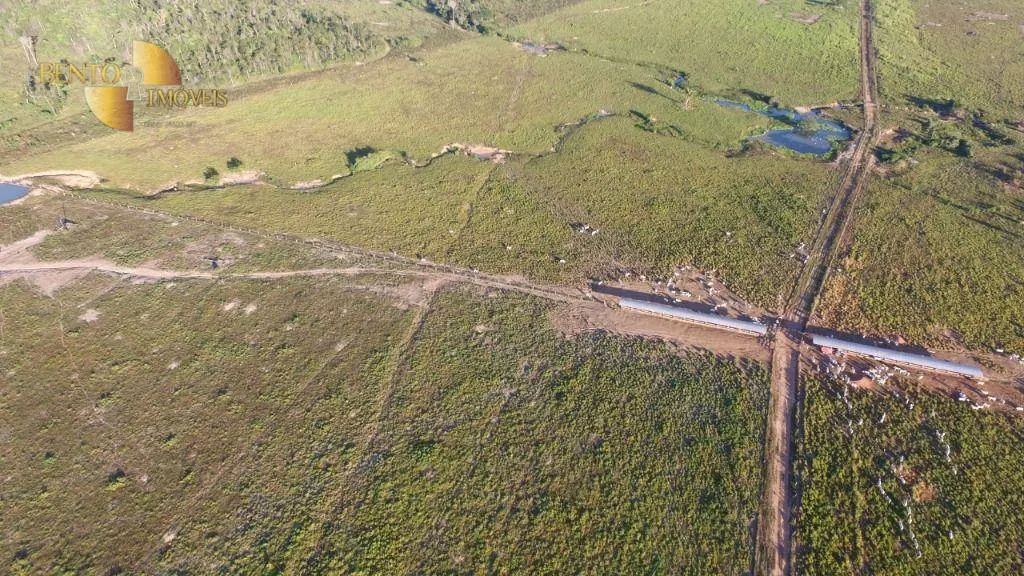 Farm for sale of 2,348 acres in Matupá, MT, Brazil