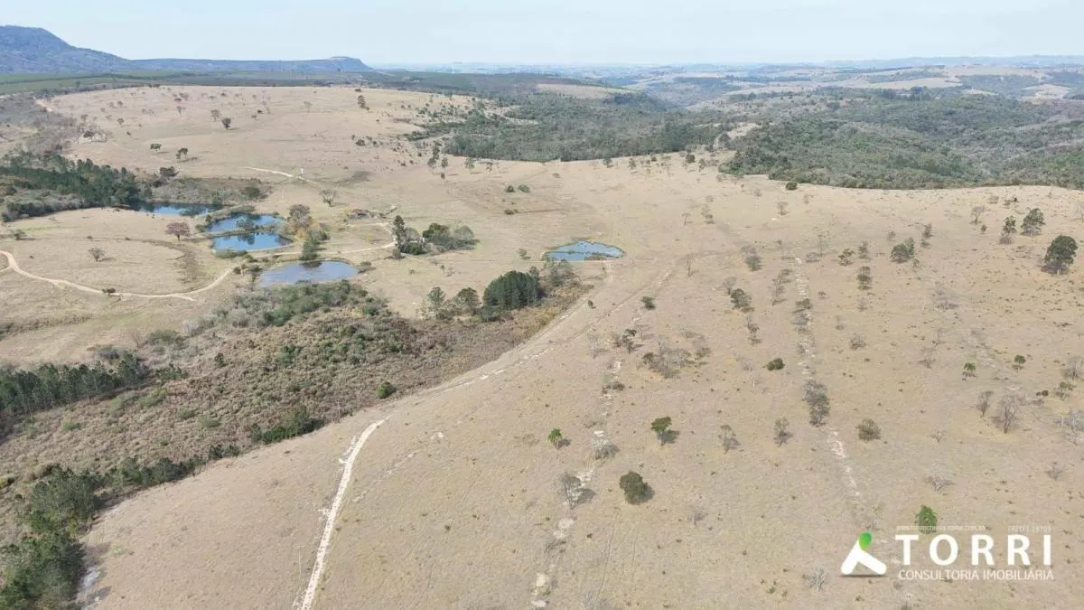 Fazenda à venda de 711 ha em Botucatu, SP, Brasil